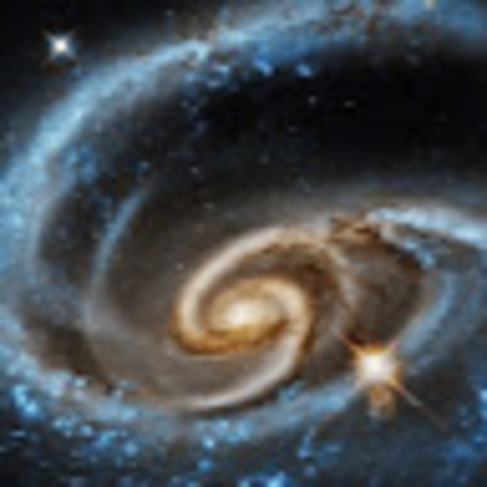 Meet your Posher, Brielle